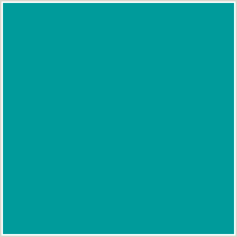 009B9B Hex Color Image (LIGHT BLUE, PERSIAN GREEN)