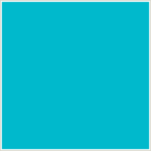 00B9CC Hex Color Image (LIGHT BLUE, ROBINS EGG BLUE)