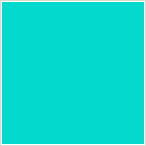 04D9CE Hex Color Image (AQUA, LIGHT BLUE, ROBINS EGG BLUE)