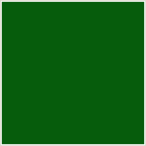 065C0C Hex Color Image (GREEN, SAN FELIX)