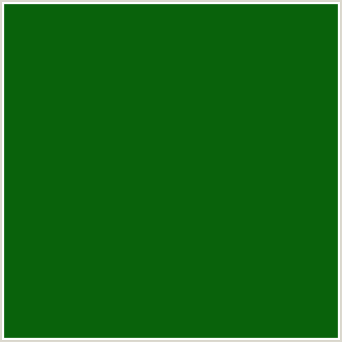 09620B Hex Color Image (GREEN, SAN FELIX)