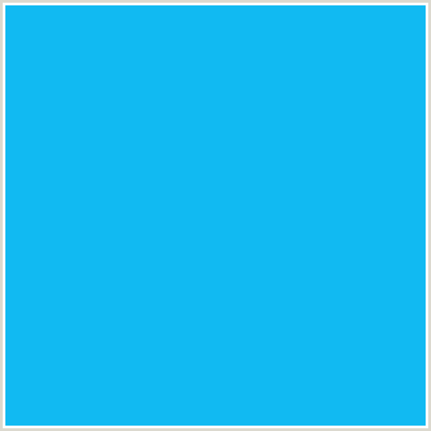 11BAF2 Hex Color Image (BRIGHT TURQUOISE, LIGHT BLUE)