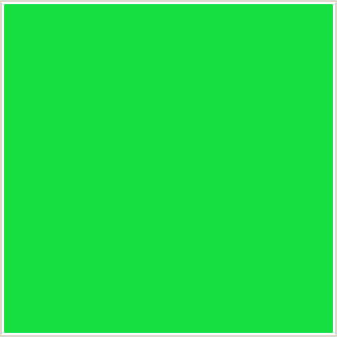 16E03F Hex Color Image (GREEN, MALACHITE)