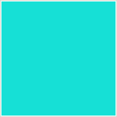 16E0D6 Hex Color Image (AQUA, BRIGHT TURQUOISE, LIGHT BLUE)