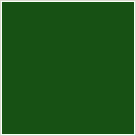 175214 Hex Color Image (GREEN, PARSLEY)