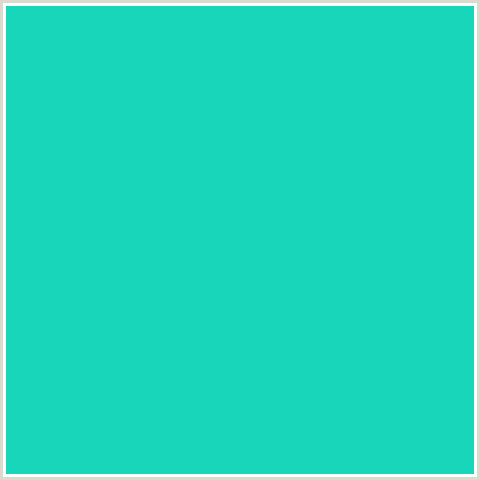 18D6BA Hex Color Image (BLUE GREEN, JAVA)