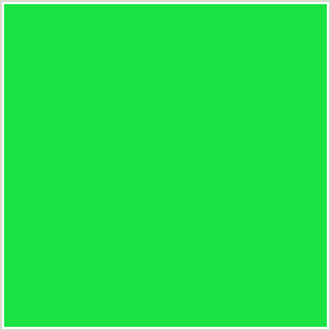 1BE343 Hex Color Image (GREEN, MALACHITE)