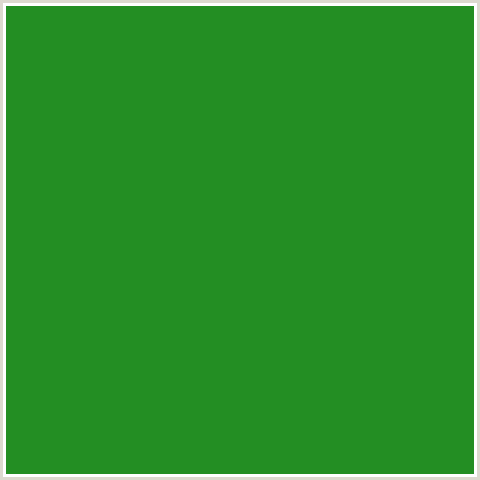 238E23 Hex Color Image (FOREST GREEN, GREEN)