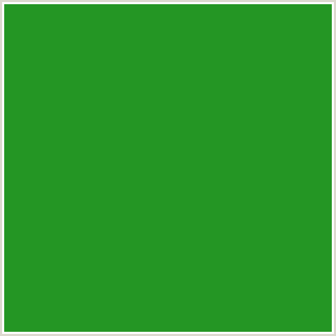 249624 Hex Color Image (FOREST GREEN, GREEN)