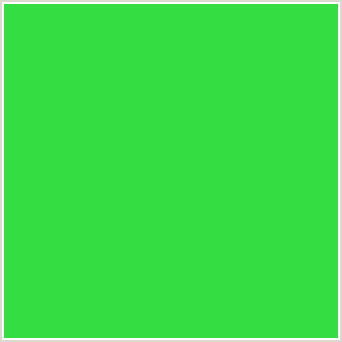 34DD41 Hex Color Image (GREEN, MALACHITE)