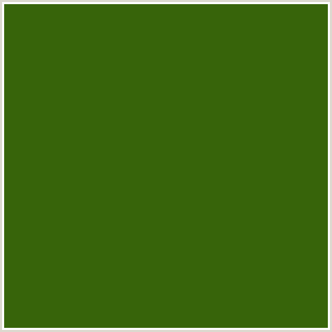 37640A Hex Color Image (GREEN, GREEN LEAF)