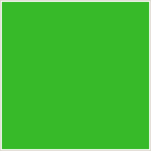 37BA29 Hex Color Image (FOREST GREEN, GREEN)