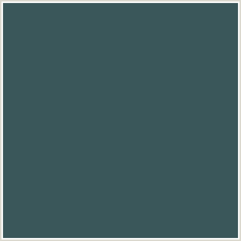 3A575A Hex Color Image (LIGHT BLUE, MINERAL GREEN)