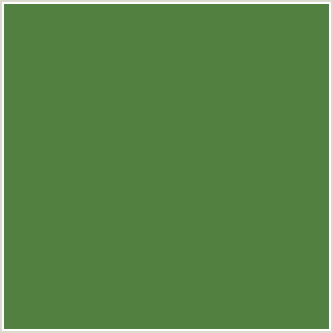 518041 Hex Color Image (FERN GREEN, GREEN)