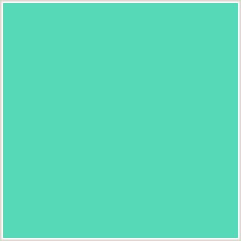 56D9B7 Hex Color Image (BLUE GREEN, VIKING)