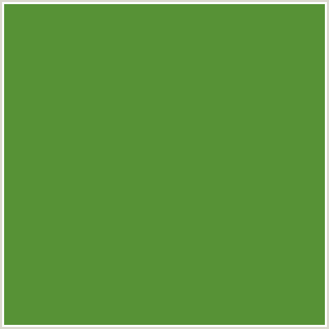 579236 Hex Color Image (APPLE, FOREST GREEN, GREEN)