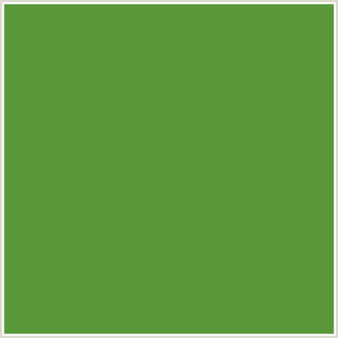 59983B Hex Color Image (APPLE, GREEN)