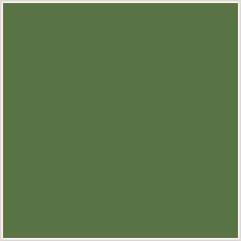 5A7443 Hex Color Image (DINGLEY, GREEN)