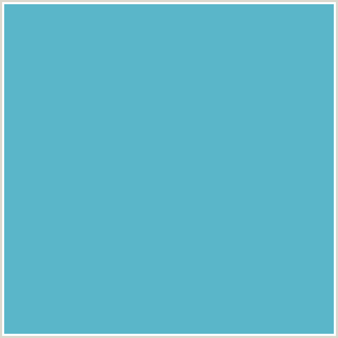 5AB6C9 Hex Color Image (FOUNTAIN BLUE, LIGHT BLUE)