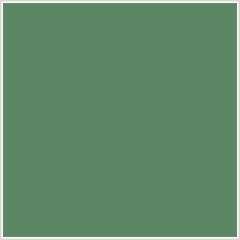 5B8764 Hex Color Image (GREEN, SPRING LEAVES)