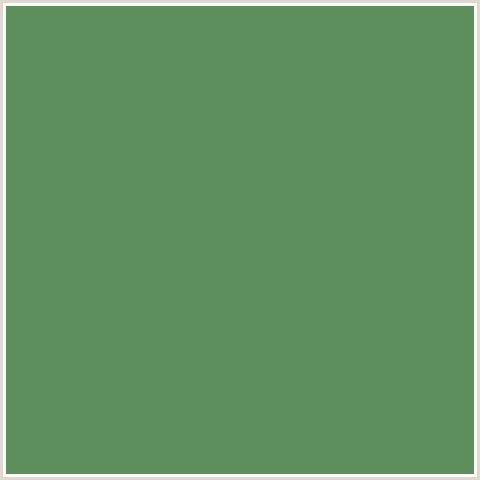 5D8F5D Hex Color Image (GLADE GREEN, GREEN)