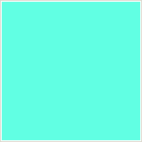 61FFE3 Hex Color Image (AQUAMARINE, BLUE GREEN)