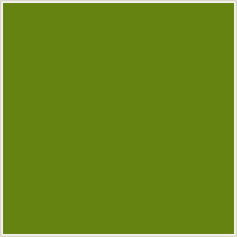 63830E Hex Color Image (GREEN YELLOW, OLIVETONE)