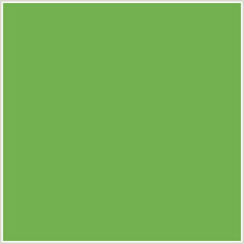 72B050 Hex Color Image (CHELSEA CUCUMBER, GREEN)