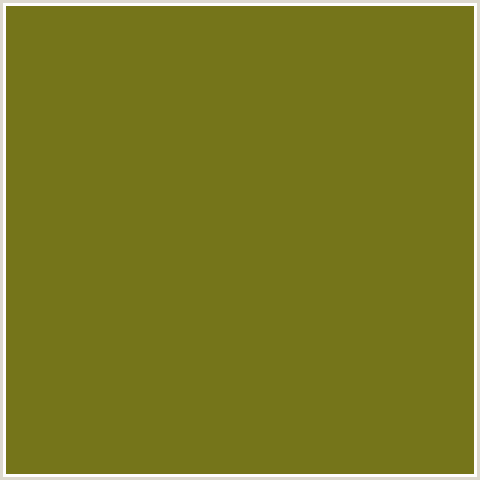 75751A Hex Color Image (OLIVE, PACIFIKA, YELLOW GREEN)