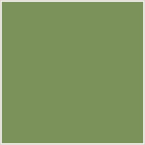7C925B Hex Color Image (ASPARAGUS, GREEN YELLOW)