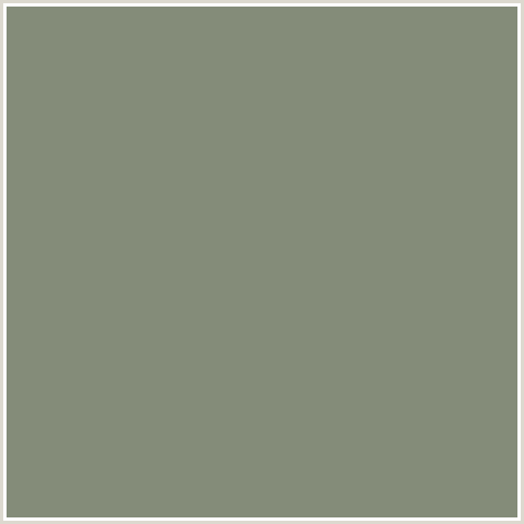 848C79 Hex Color Image (BATTLESHIP GRAY, GREEN YELLOW)