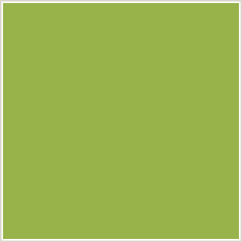 99B34B Hex Color Image (GREEN YELLOW, OLIVE GREEN)