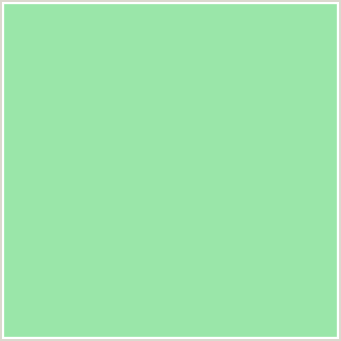 9AE6A9 Hex Color Image (ALGAE GREEN, GREEN)
