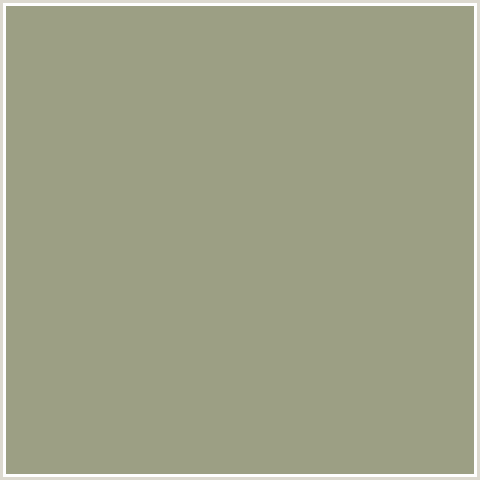 9C9F84 Hex Color Image (SAGE, YELLOW GREEN)