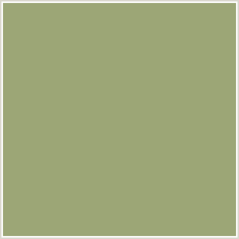 9CA676 Hex Color Image (GREEN SMOKE, GREEN YELLOW)