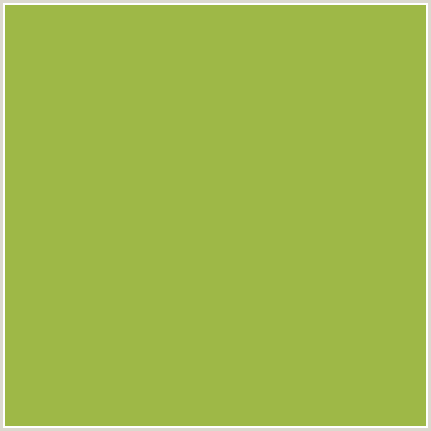 9EB847 Hex Color Image (GREEN YELLOW, SUSHI)