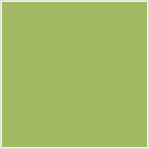 A2B964 Hex Color Image (GREEN YELLOW, OLIVINE)