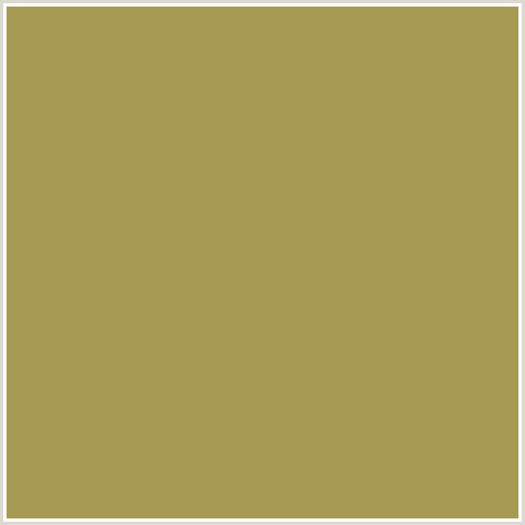 A79A55 Hex Color Image (BARLEY CORN, YELLOW)