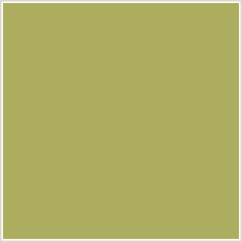 ACAD5F Hex Color Image (OLIVE GREEN, YELLOW GREEN)