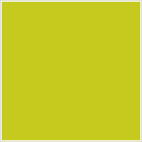 C6CA1F Hex Color Image (KEY LIME PIE, YELLOW GREEN)