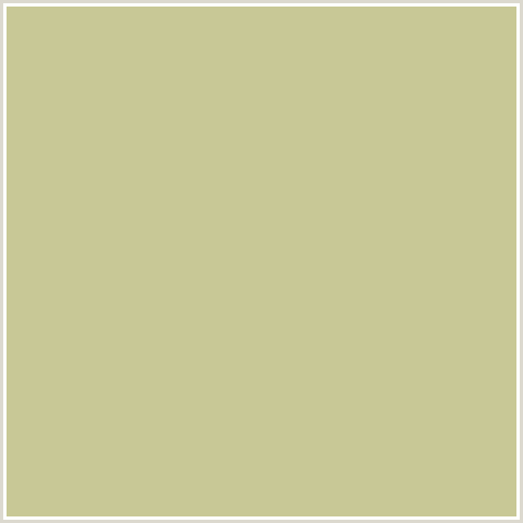 C8C896 Hex Color Image (PINE GLADE, YELLOW GREEN)