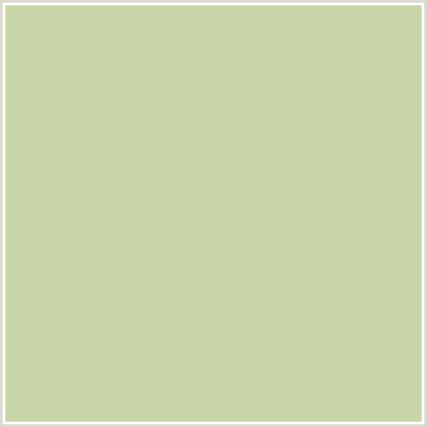C9D6A9 Hex Color Image (GREEN YELLOW, SPROUT)