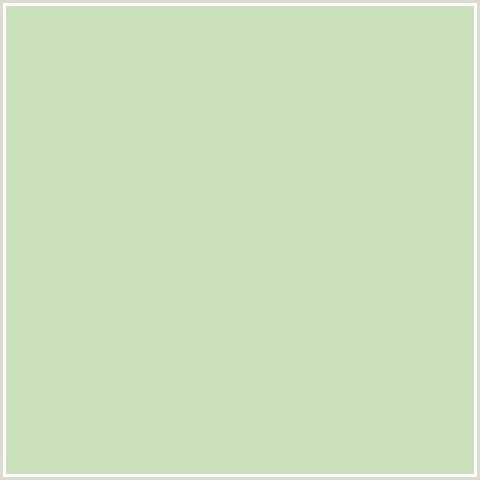 CBE1BD Hex Color Image (GREEN, SPROUT)