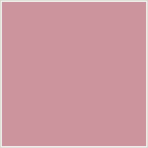CC959E Hex Color Image (CAREYS PINK, RED)