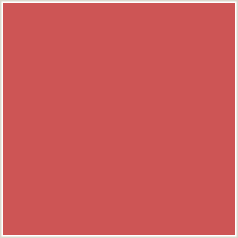 CD5555 Hex Color Image (CHESTNUT ROSE, RED)