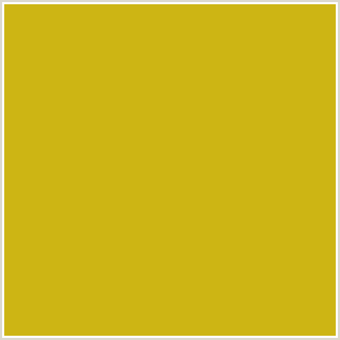 CDB514 Hex Color Image (GOLD TIPS, YELLOW)