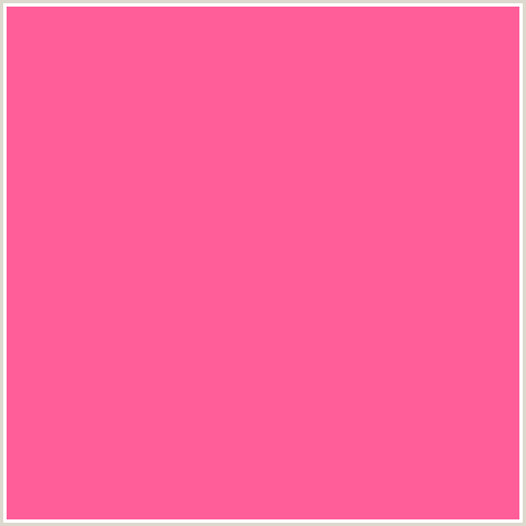 FF5E99 Hex Color Image (HOT PINK, RED)