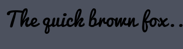Image with Font Color FFFFFF and Background Color 4C515E