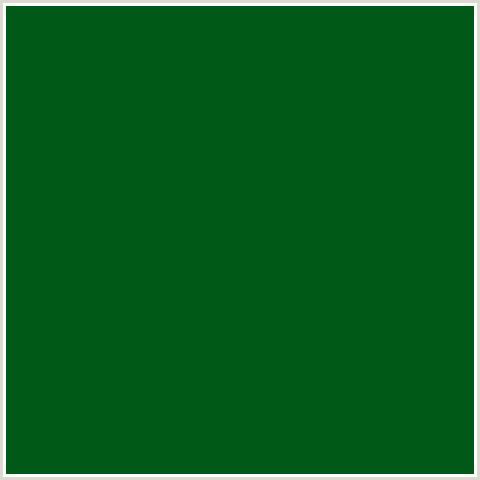 005916 Hex Color Image (CAMARONE, GREEN)