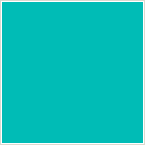 00BCB6 Hex Color Image (AQUA, LIGHT BLUE, ROBINS EGG BLUE)